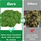 Fake Green Moss for Potted Plants, 5.3OZ Moss Decor Artificial Faux Moss for Crafts Preserved Moss for DIY Decorative Moss Table Centerpieces Decor Fairy Garden Floral Wedding